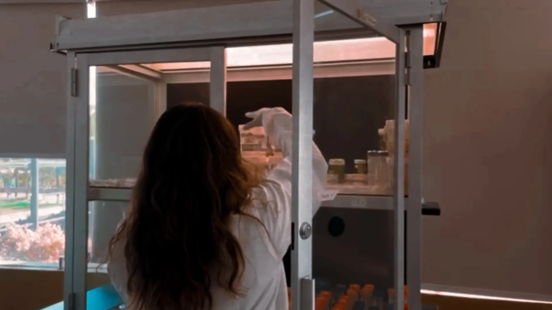 Estudiantes del Tec rescatan plantas nativas con cultivo in vitro