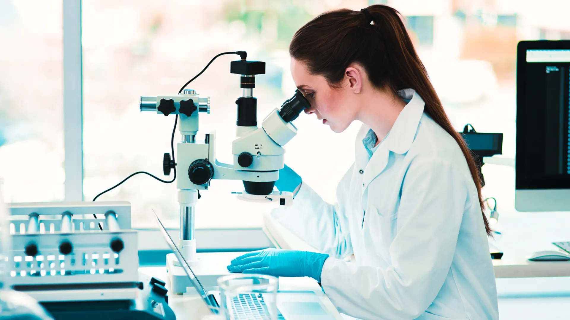 Harvard recibe a alumnas del Tec para investigación en biotecnología