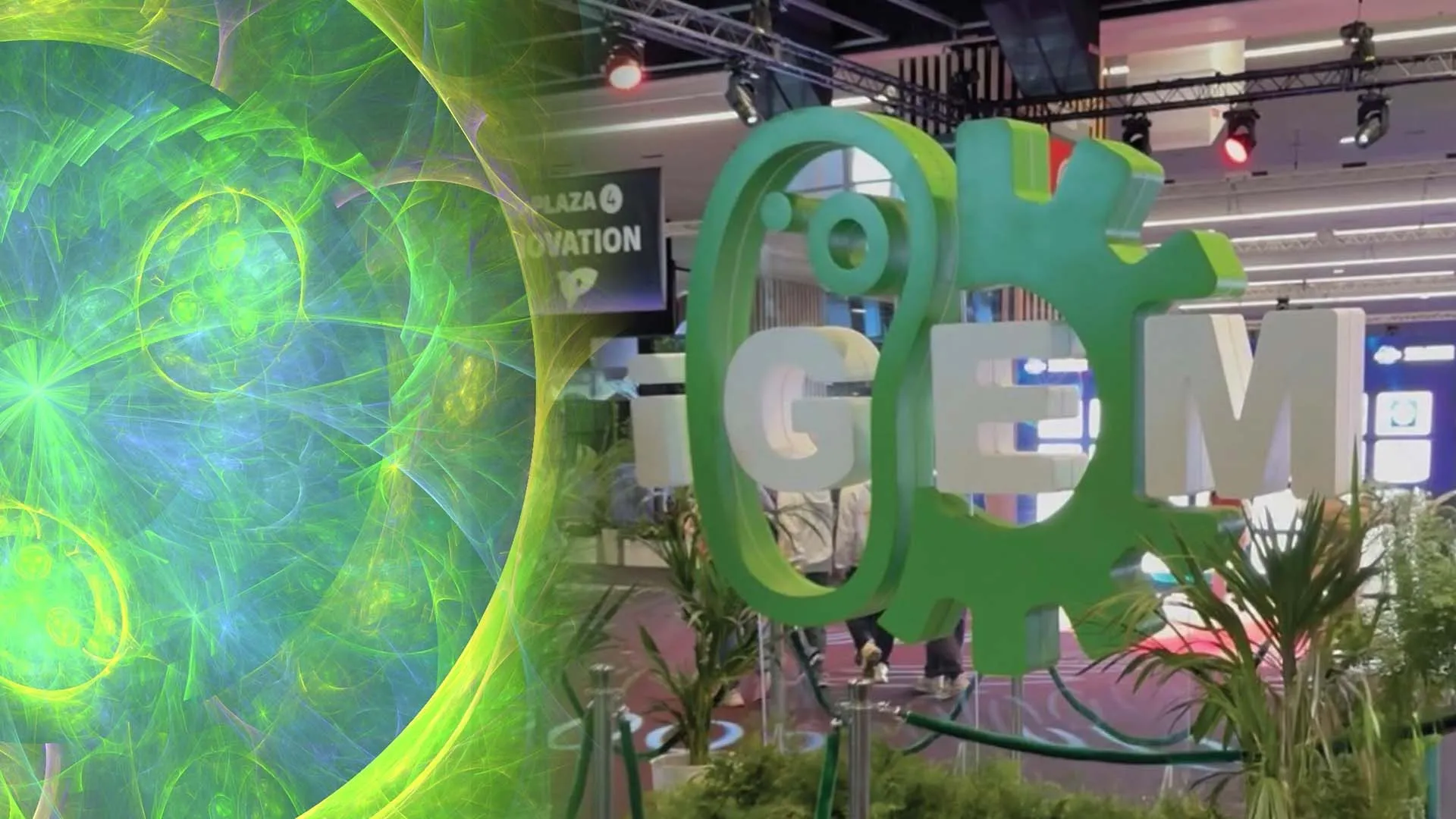 Ganan Oro y Plata mundial