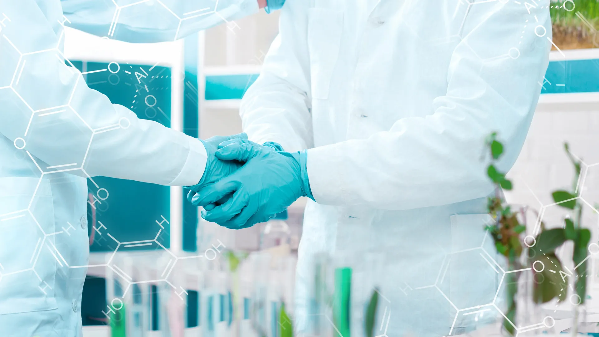 Colaboración mundial