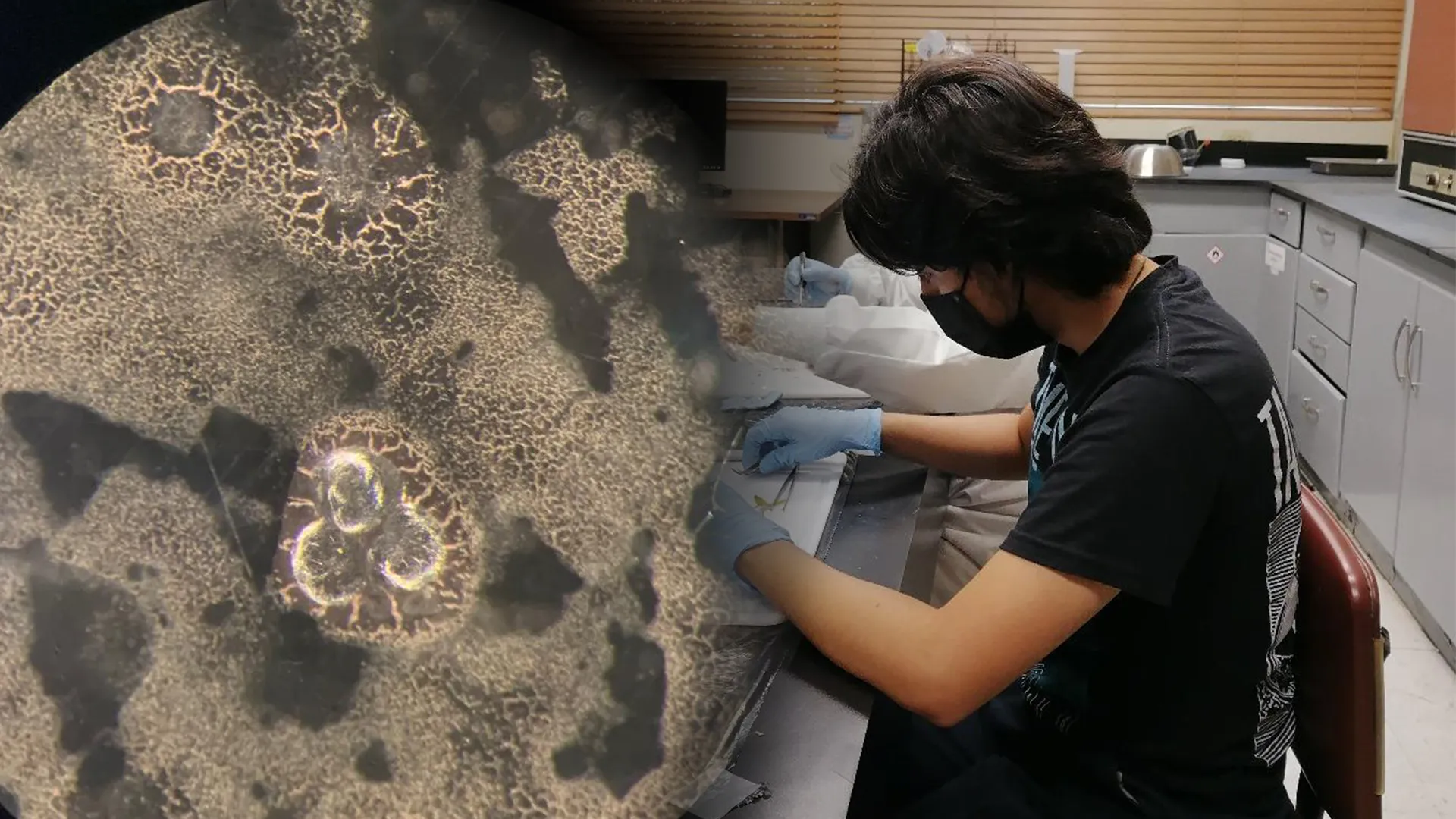 Emilio Peña en el laboratorio