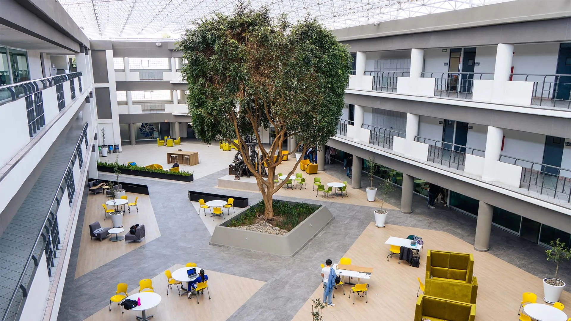 Tec Toluca: un nuevo aire para sus aulas y árboles (fotogalería)