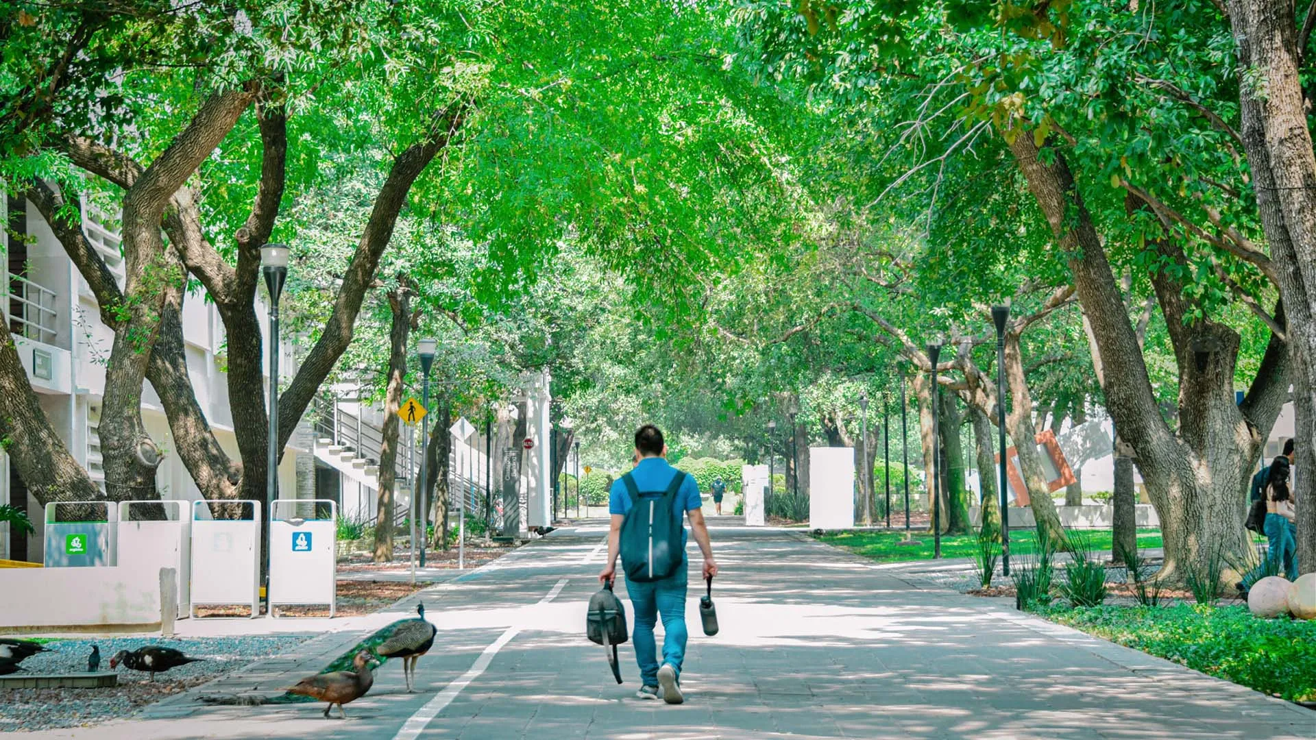 Tec de Monterrey, campus Monterrey