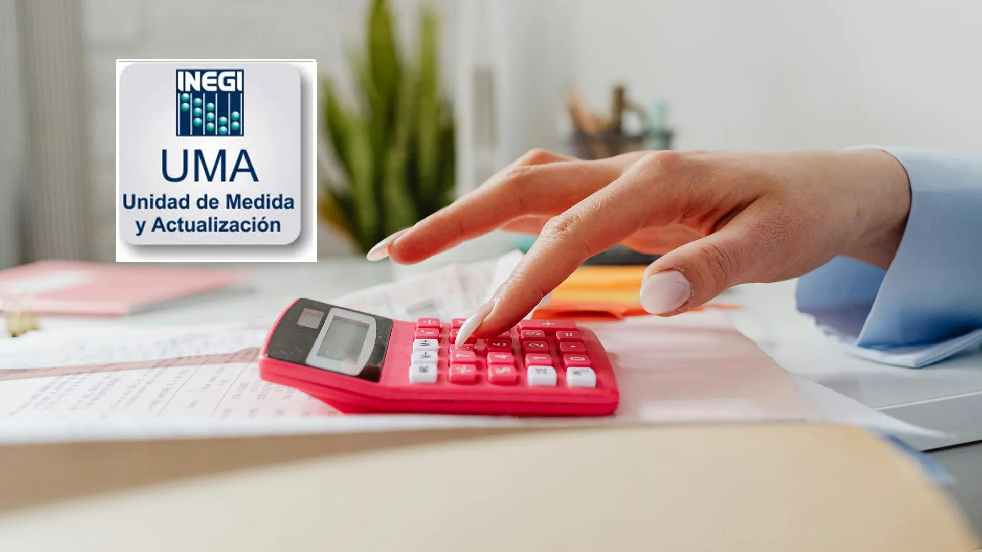 Foto: Pexels / INEGI