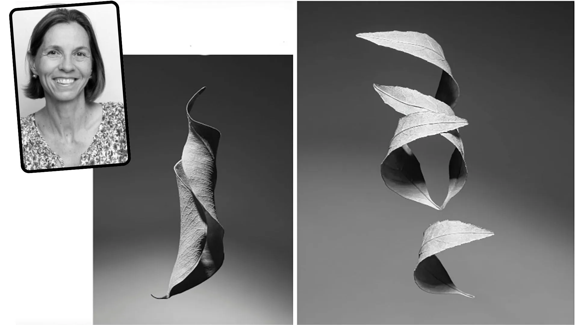 Creativity! Professor wins international photography award