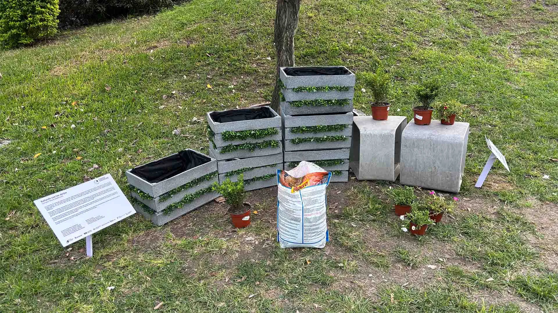 Bailando con las abejas: el jardín con IA creado por alumnos Tec