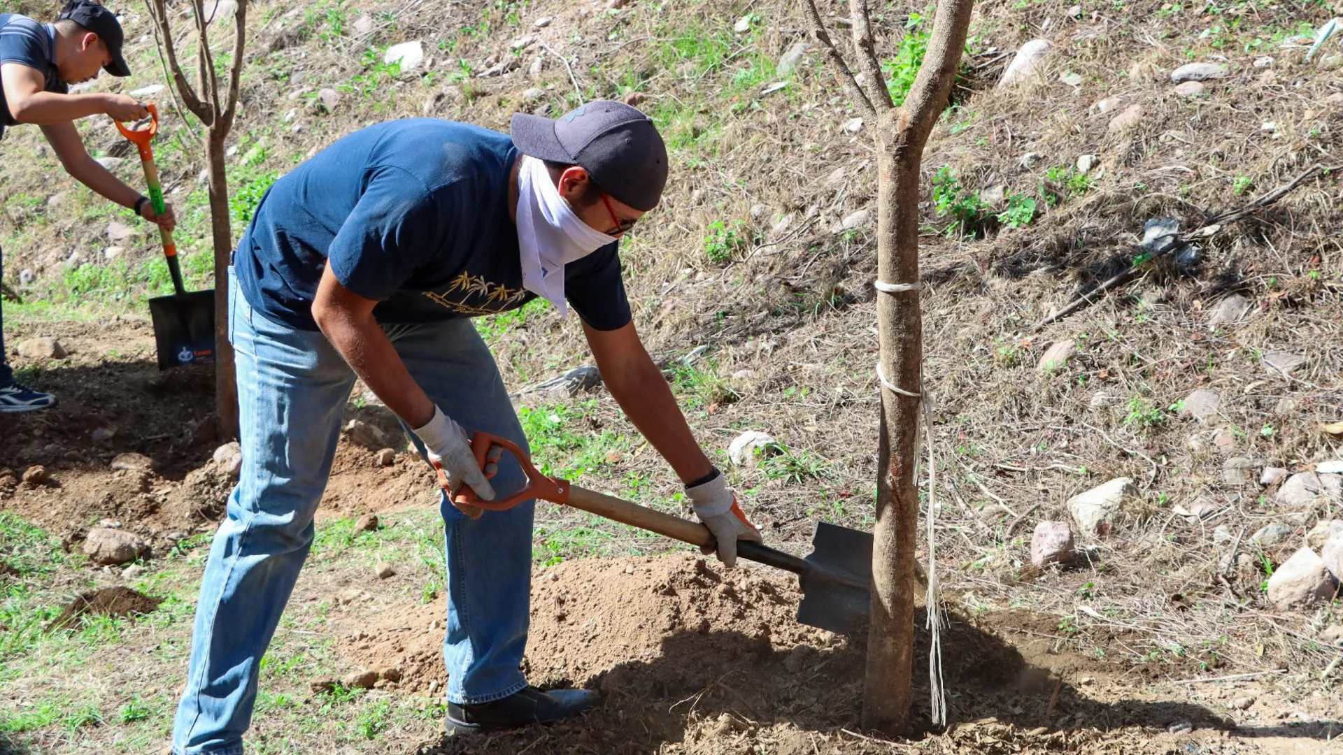 Miembro de la comunidad Tec campus León plantando un árbol.