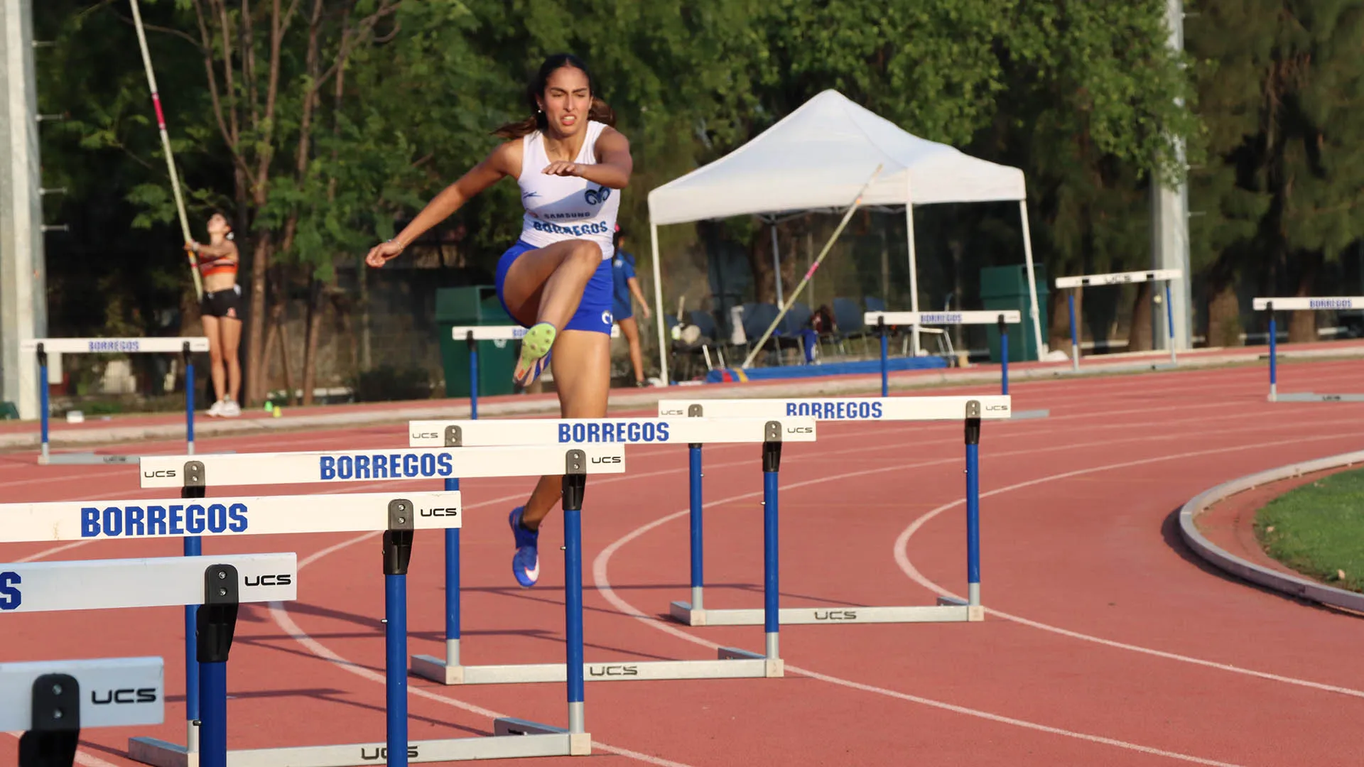 Borregos MTY en nacional de Atletismo ¡39 medallas!