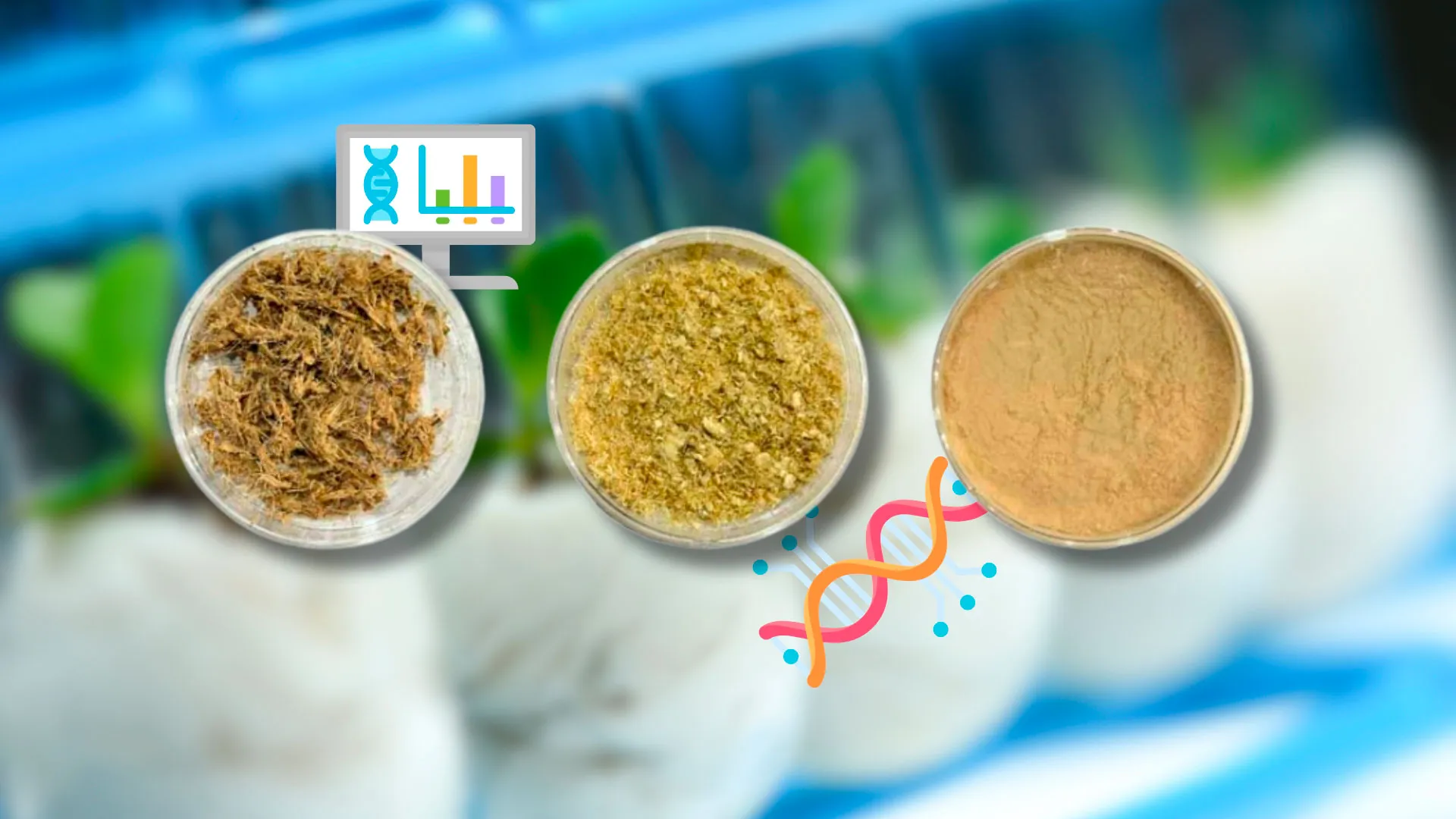 Va-Nano es un proyecto desarrollado por EXATEC del campus Querétaro que consiste en un biopolímero obtenido a partir de residuos de plátano.