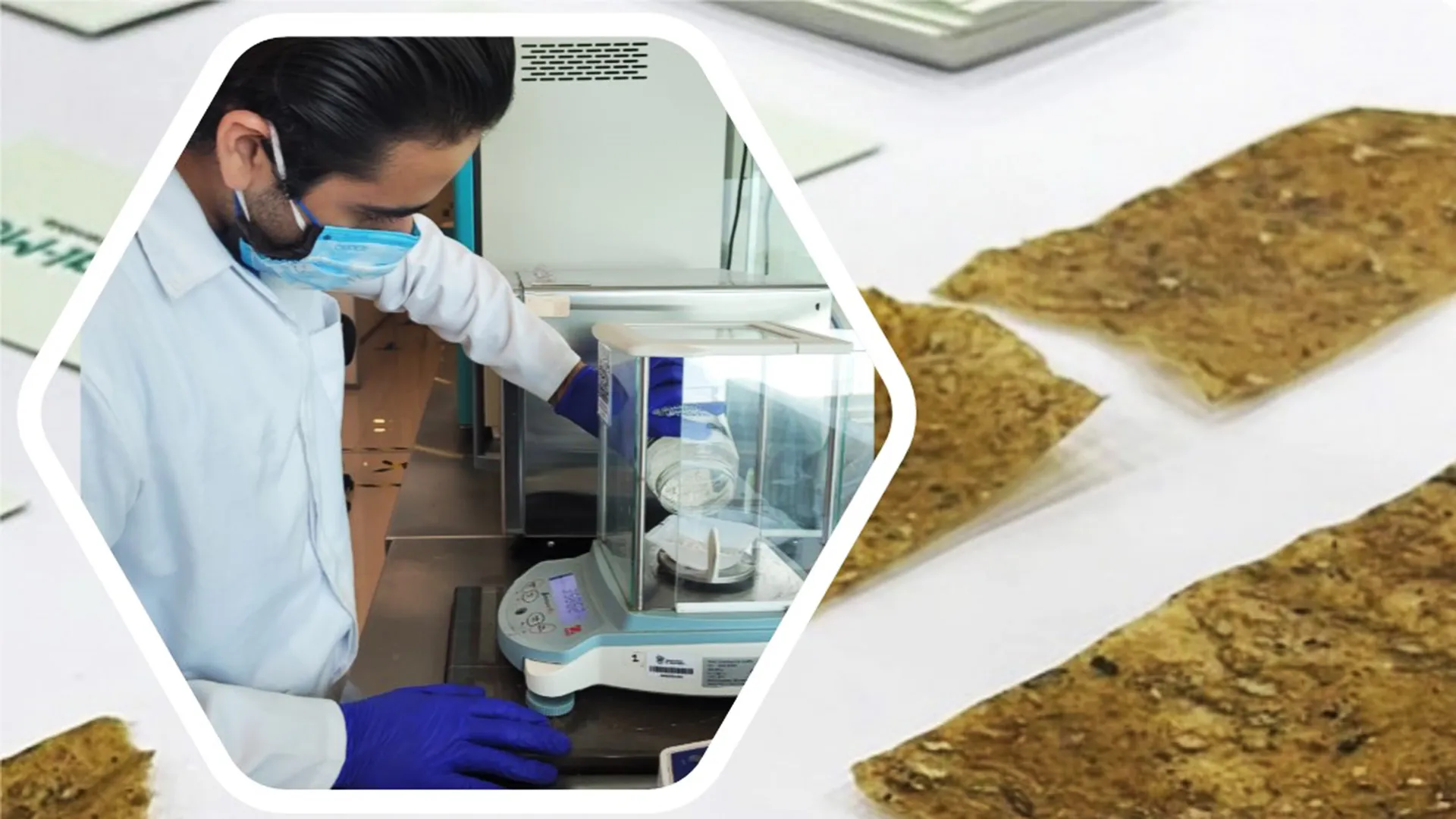 CeluNova, Tec de Monterrey.