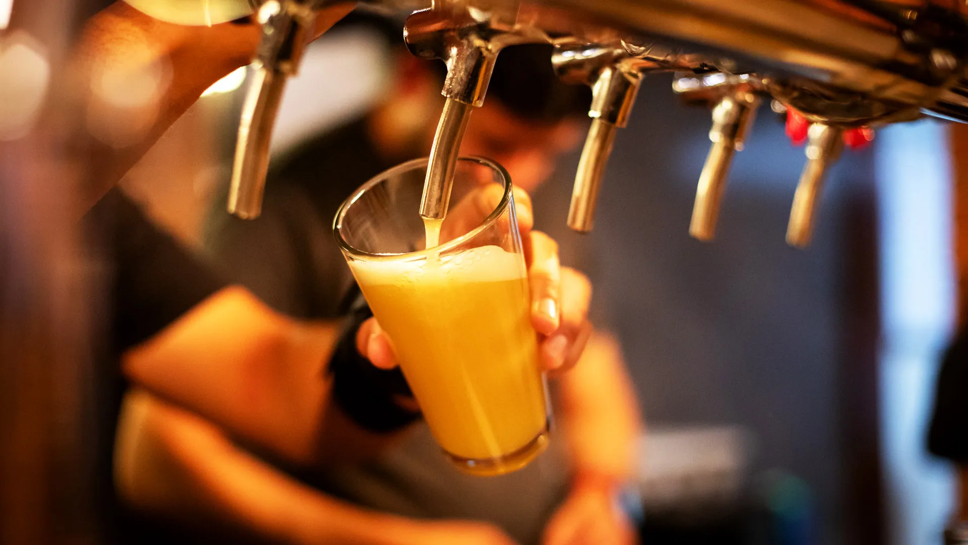 Proceso de servir cerveza en Cisne Negro