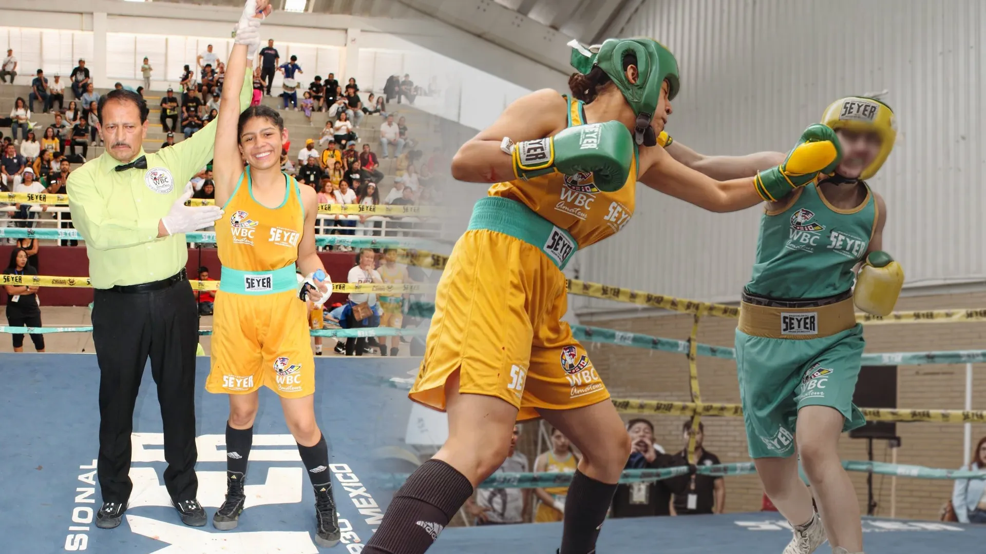 Camila Jiménez es campeona nacional de boxeo