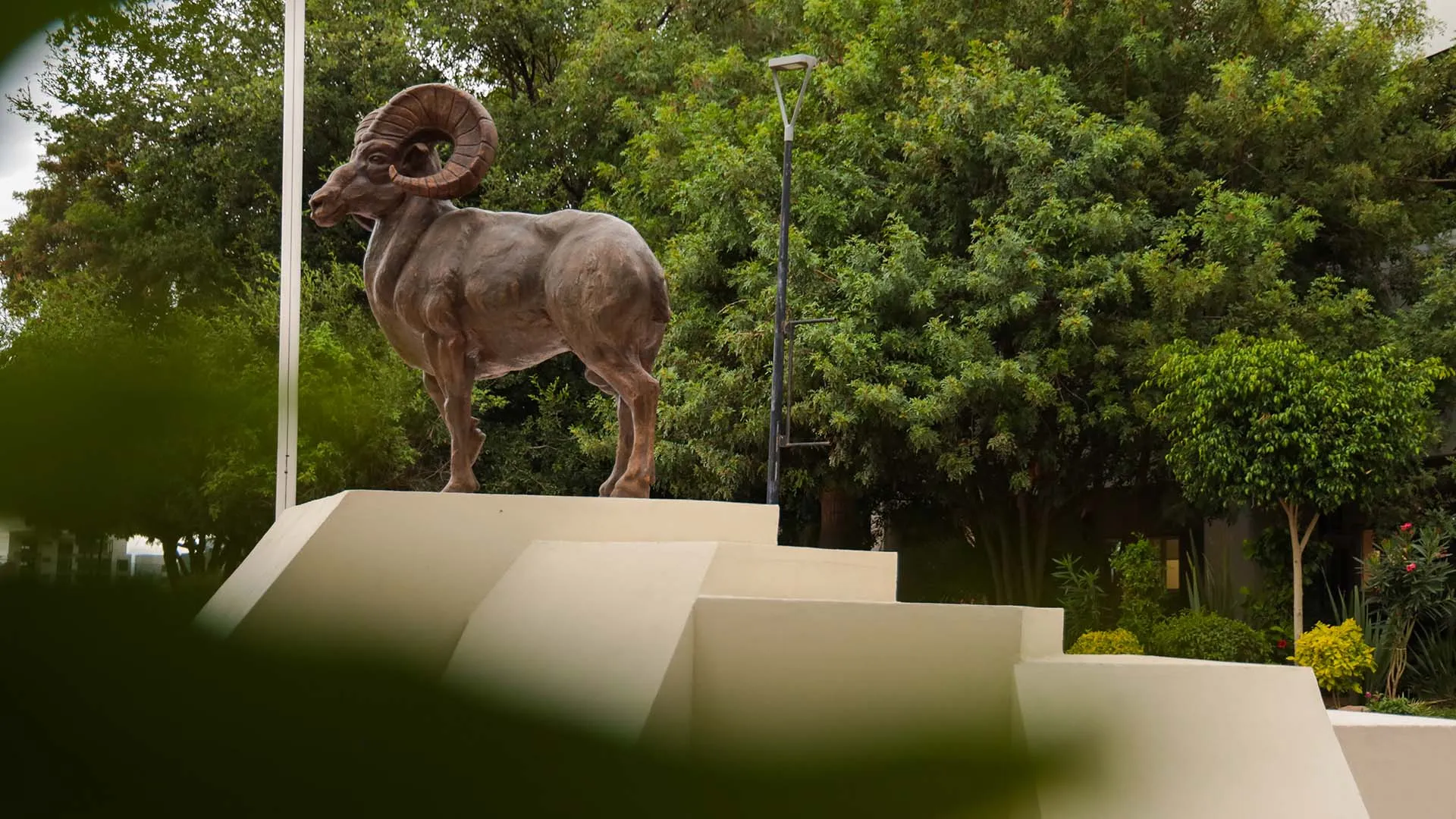 Certificación STARS Tec Aguascalientes