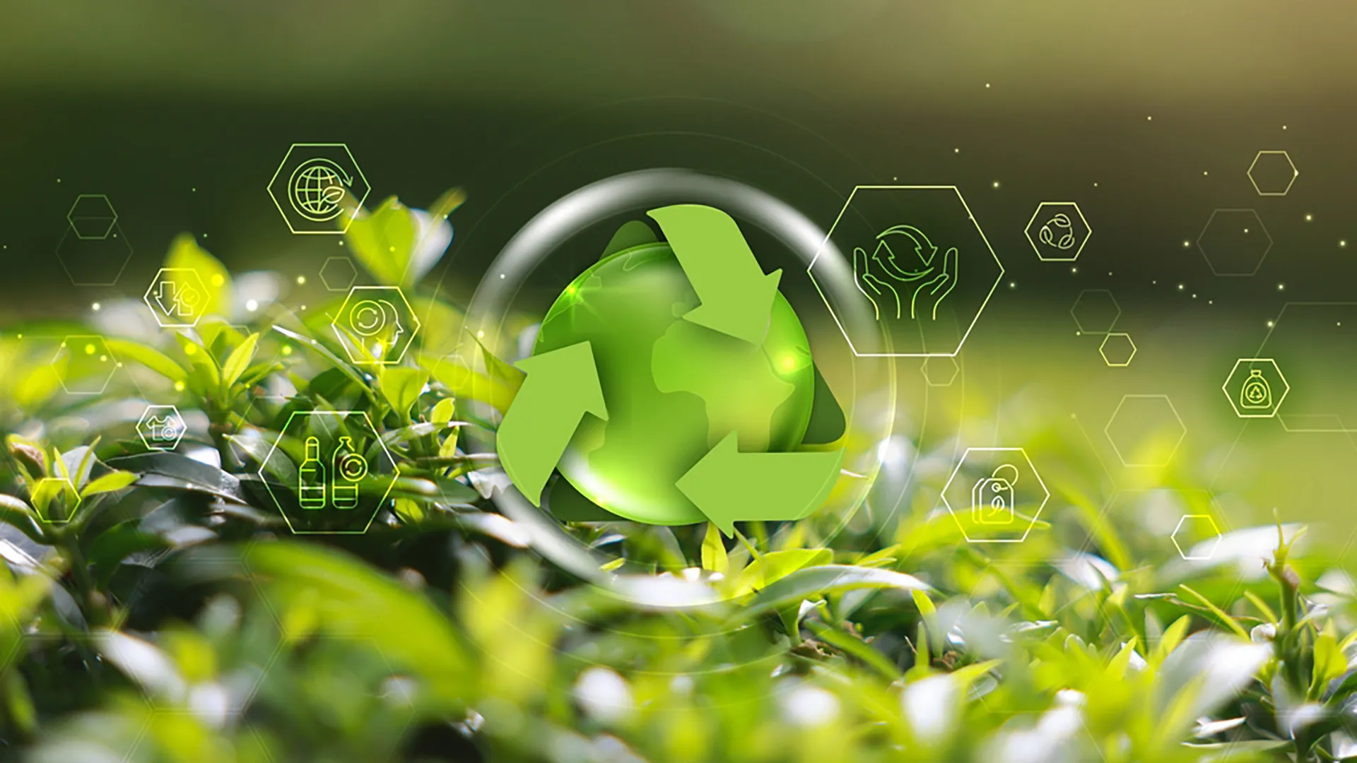 La Tríada y la sostenibilidad 