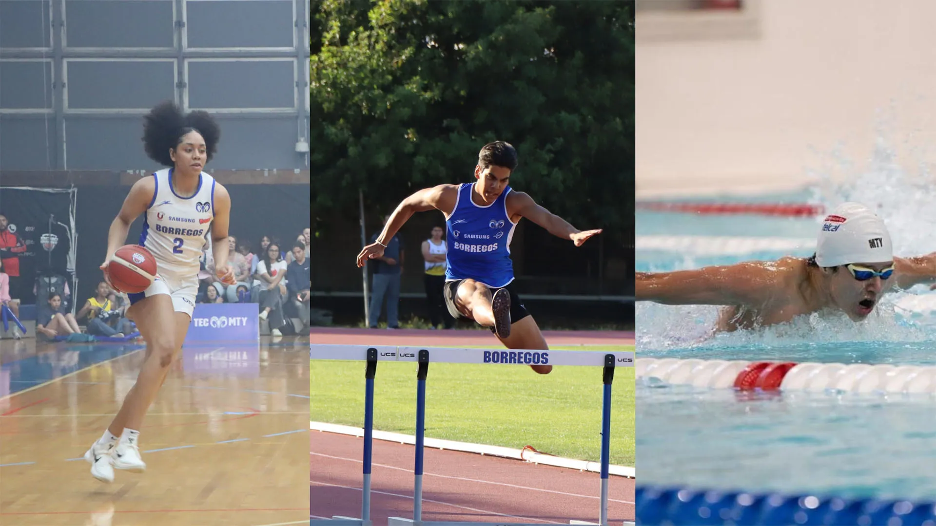 ¡Poder Borrego! 12 deportistas del Tec irán a Panamericanos Junior 