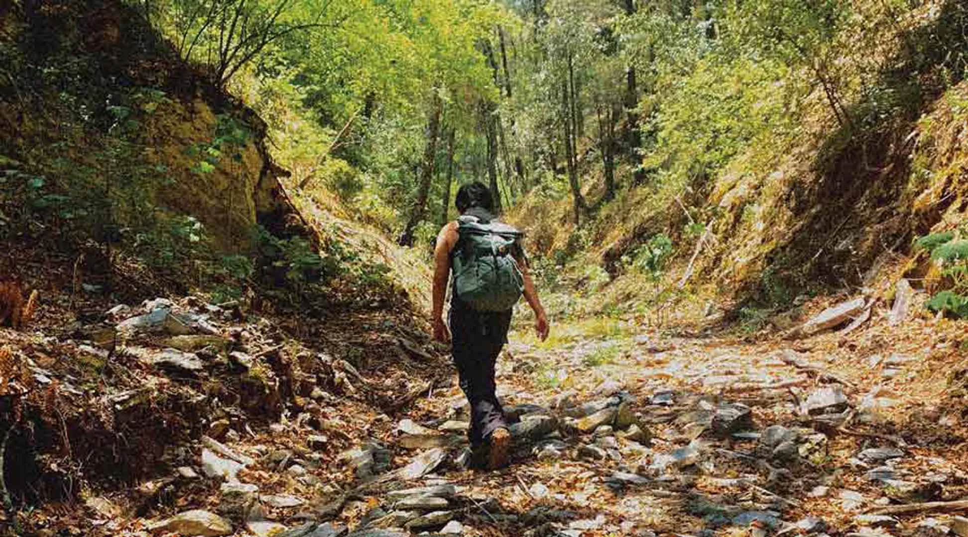  EXATEC de Arquitectura formó parte del equipo del Tec que presentó una iniciativa de “laboratorios vivos” en la Bienal de Venecia. 