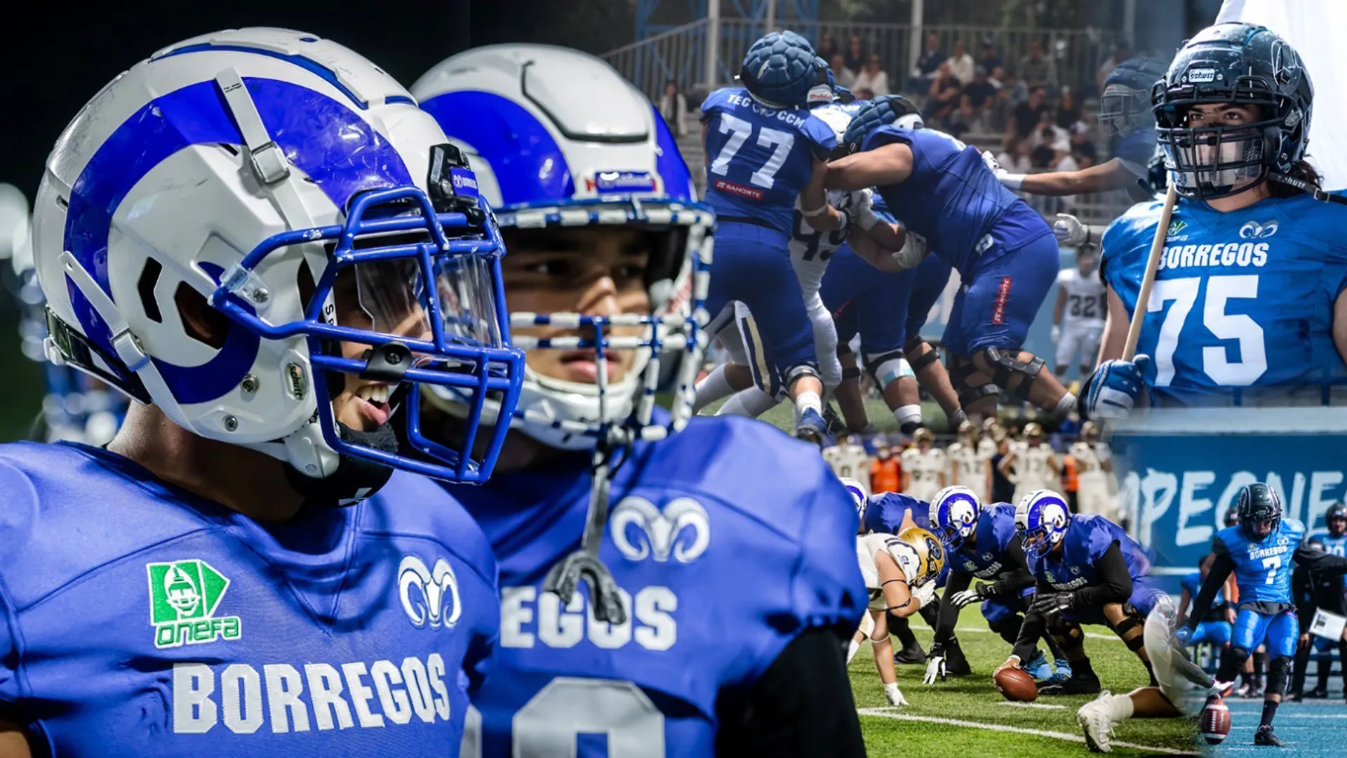 ! Borregos Tec inician temporada 2025 de Liga Mayor