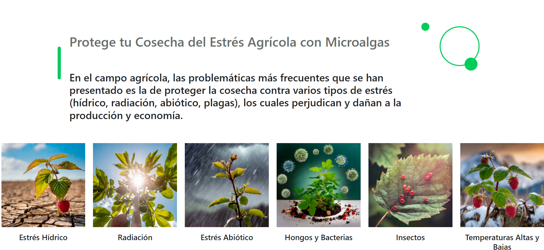 Neptunus Biotech