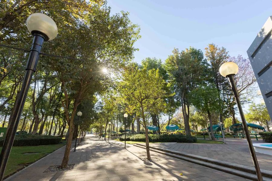 Camino arbolado dentro de un campus del Tecnol&oacute;gico de Monterrey, con abundante vegetaci&oacute;n, luminarias y &aacute;reas verdes que reflejan un entorno universitario orientado a la sostenibilidad.
