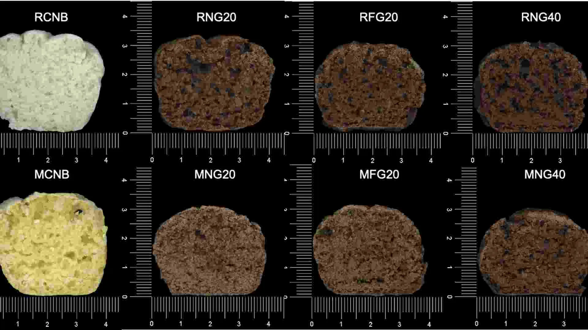 profesora investigadora tec puebla crea alimentos con harina de insectos