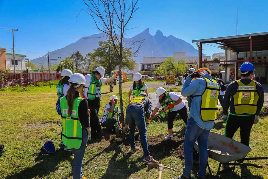 Proyecto de arbolado de distritotec.