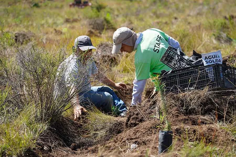 La reforestaci&oacute;n recibi&oacute; el apoyo de estudiantes, organizaciones, empresas y voluntarios externos. 