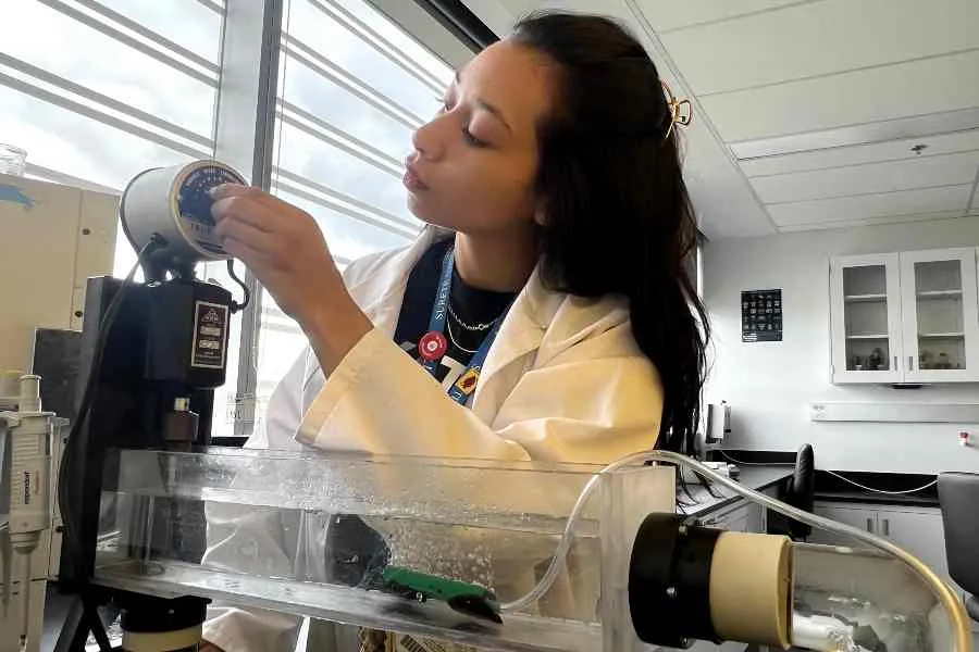 Arena Serrano trabajando en la presi&oacute;n de las burbujas