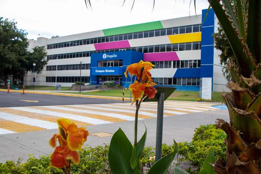 campus sinaloa certificacion stars