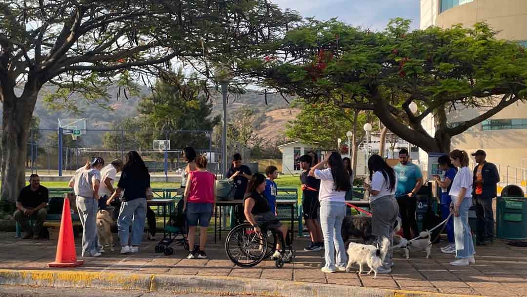 Cuidado animal, campa&ntilde;a vacunaci&oacute;n para mascotas en PrepaTec Santa Anita.