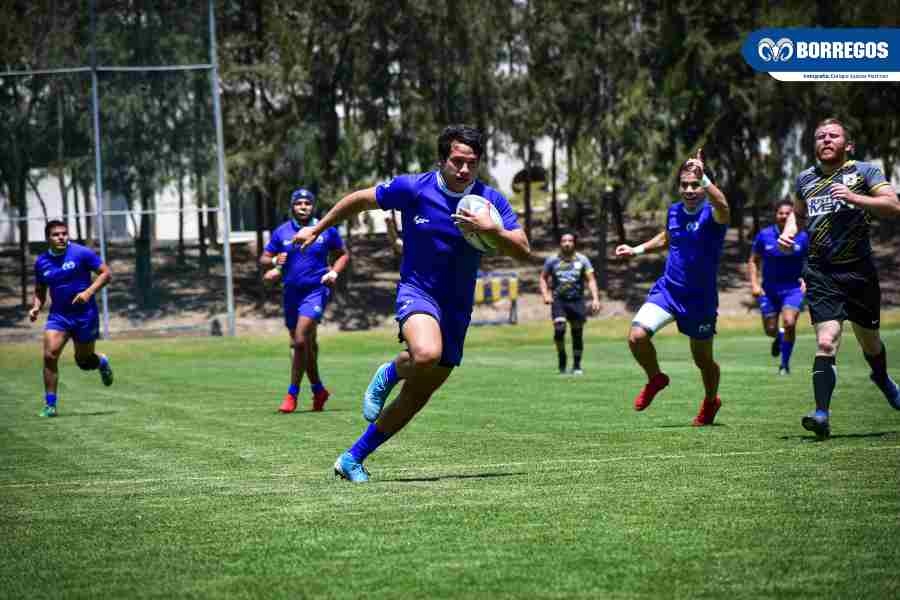 Un equipo nacido para ser campeón
