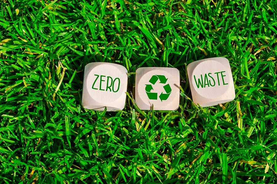 Luz Moreno, egresada Tec CEM, emprendimiento sustentable