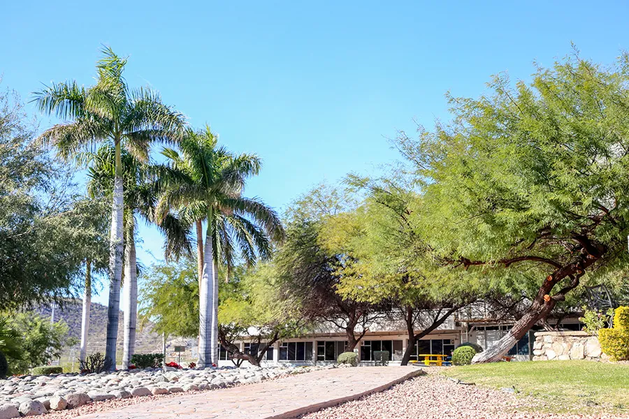 campus sonora norte
