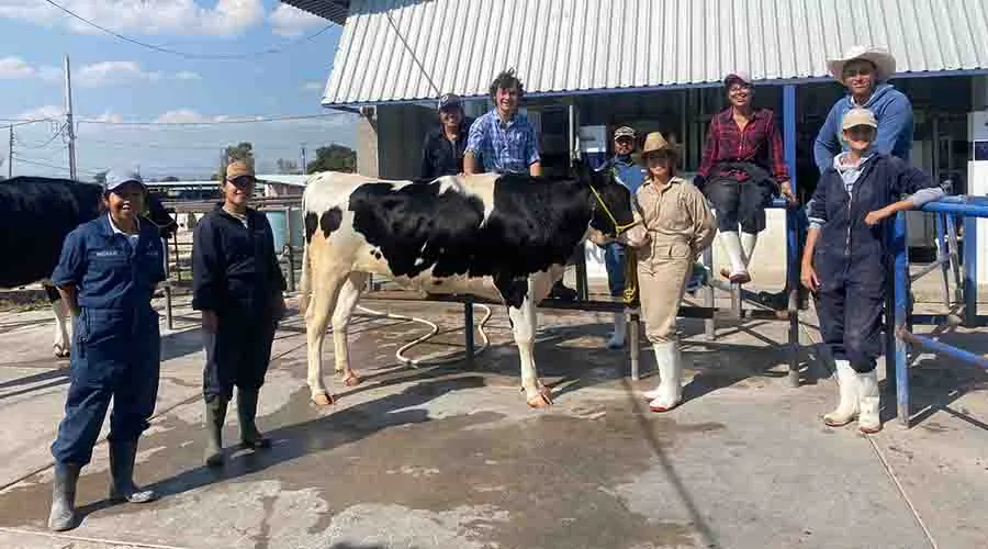 Estudiantes del Tec Campus Quer&eacute;taro trabajando en establo lechero