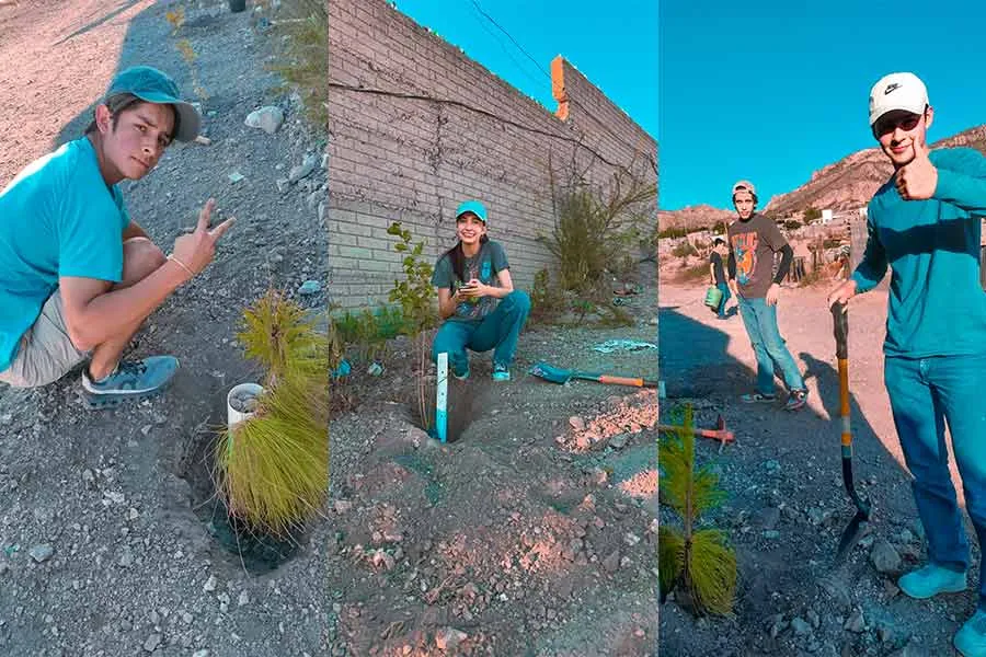 Estudiantes universitarios plantando árboles durante actividad de reforestación urbana como parte del proyecto ecológico PlantOn.