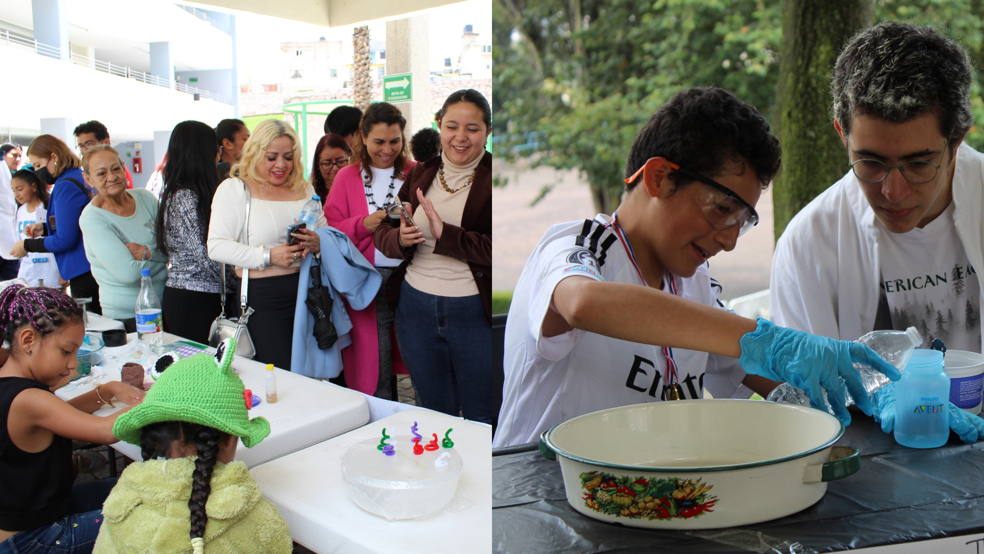Feria de ciencias Liewe
