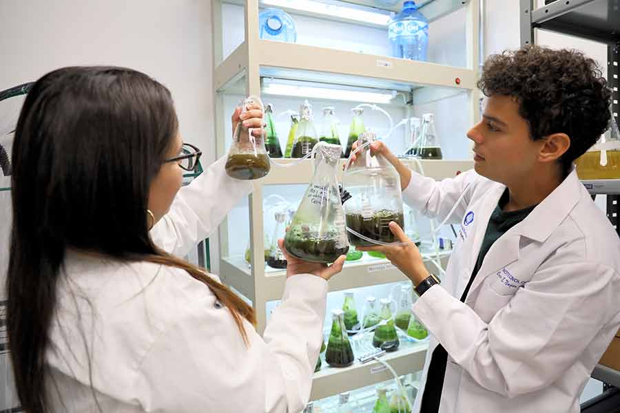 Innovación tecnológica para tequila, para aprovechar residuos y vinazas, desarrollado por profesora del Tec Guadalajara.