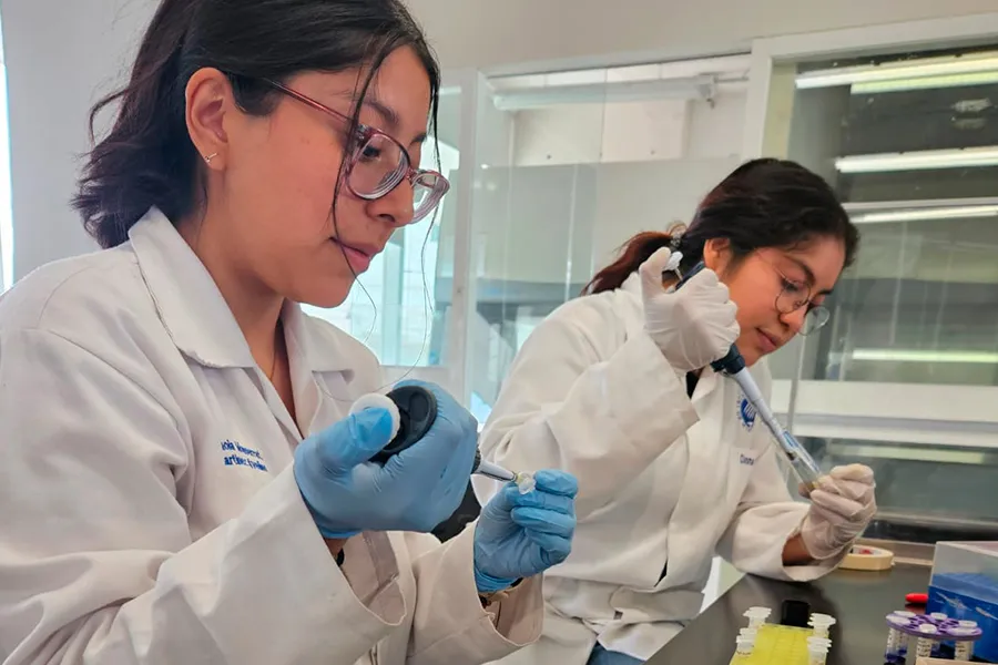 Paola trabajando en uno de los laboratorios del Tec campus Estado de M&eacute;xico.
