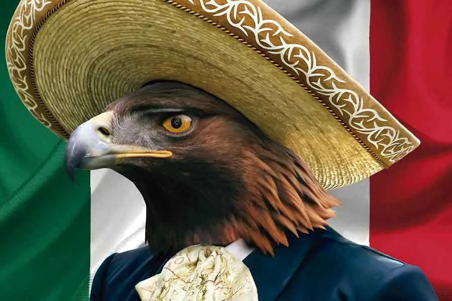 Los s&iacute;mbolos ayudan al estado a crear identidad nacional y cohesi&oacute;n.