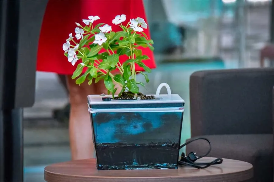 El proyecto The Garden naci&oacute; como una idea de investigaci&oacute;n, hoy es un producto m&iacute;nimo viable con un enfoque hacia la Industria 5.0.