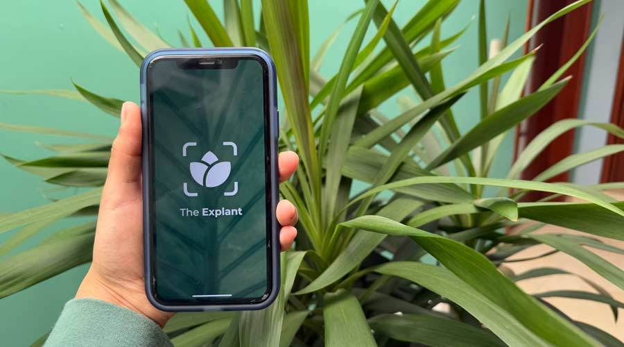Docente del Tec desarrolla app que ayuda en la enseñanza de la biotecnología