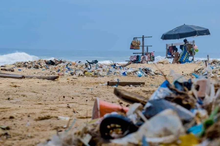Profesora busca promover cuidado ambiental