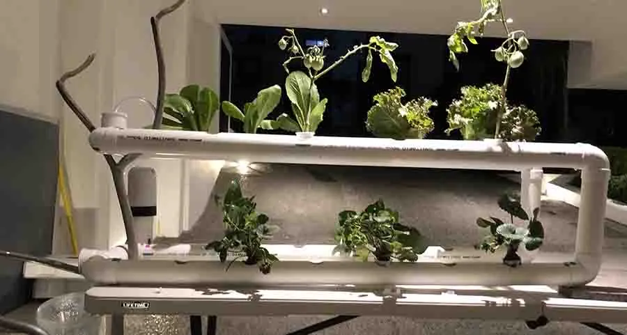 Alumnos de preparatoria tec en queretaro obtienen beca internacional