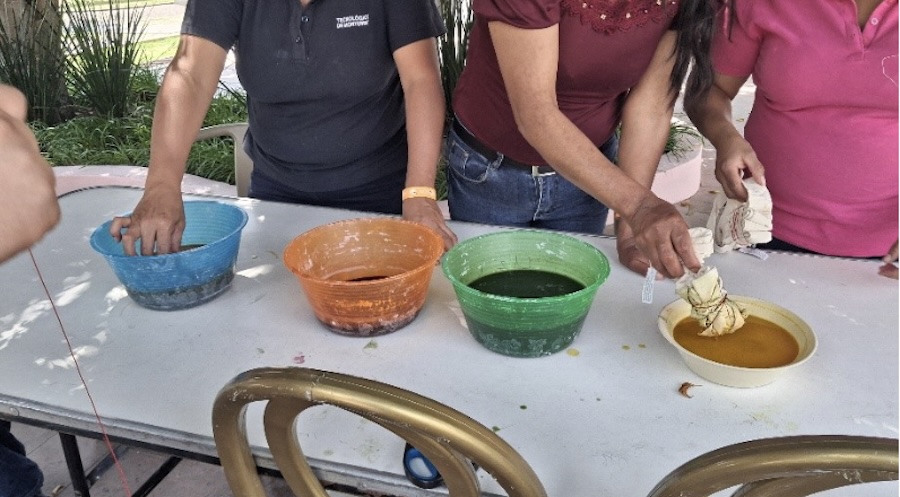 desarrollo de la preparaci&oacute;n