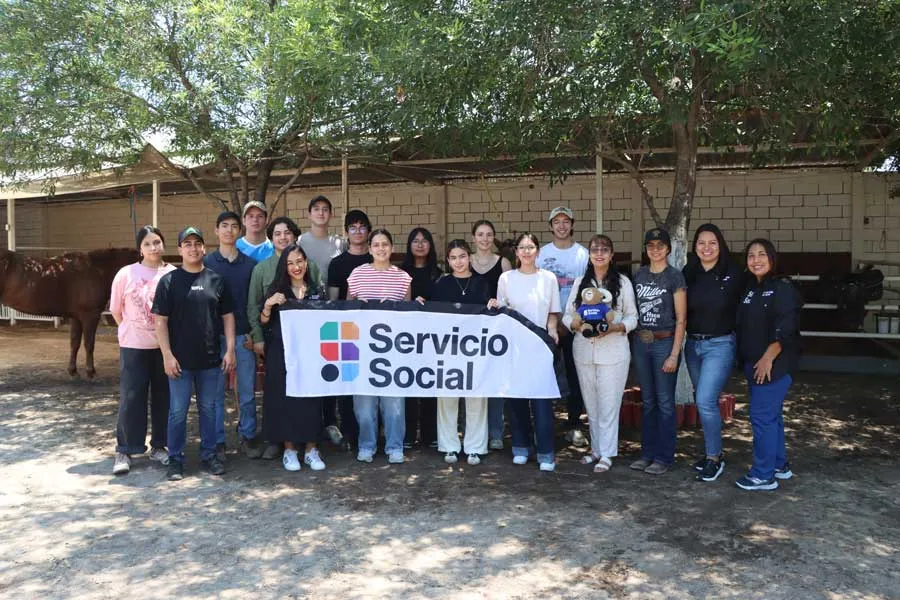 Equinoterapia, Servicio Social.
