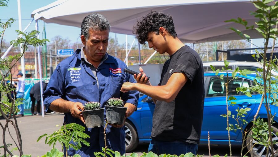 Campus Quer&eacute;taro obtuvo la acreditaci&oacute;n de Oro STARS, uno de los principales reconocimientos internacionales en sostenibilidad universitaria, gracias al trabajo conjunto de su comunidad.