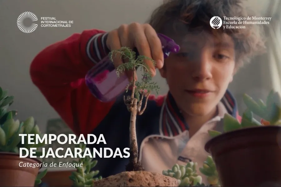 Escena de Temporada de Jacarandas, dirigida por Brian Rosales, que retrata el amor fraternal y los cambios que trae la distancia.