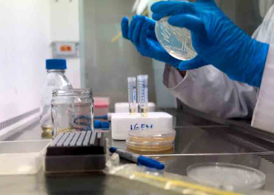Torneo mundial de biología, iGEM, en el que destacó grupo estudiantil del Tec Guadalajara.