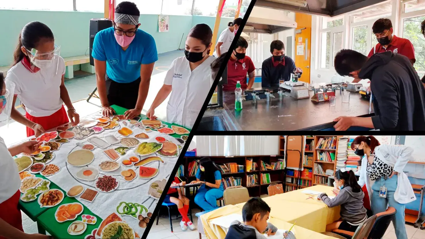 Programa de Gestión Educativa, distritotec.