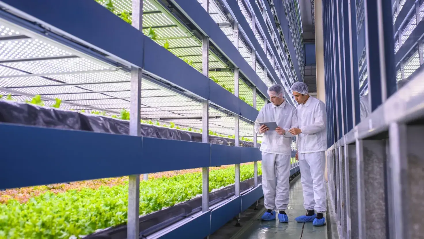 El Tec de Monterrey campus Querétaro concluye programa ARISE de vinculación agroalimentaria.