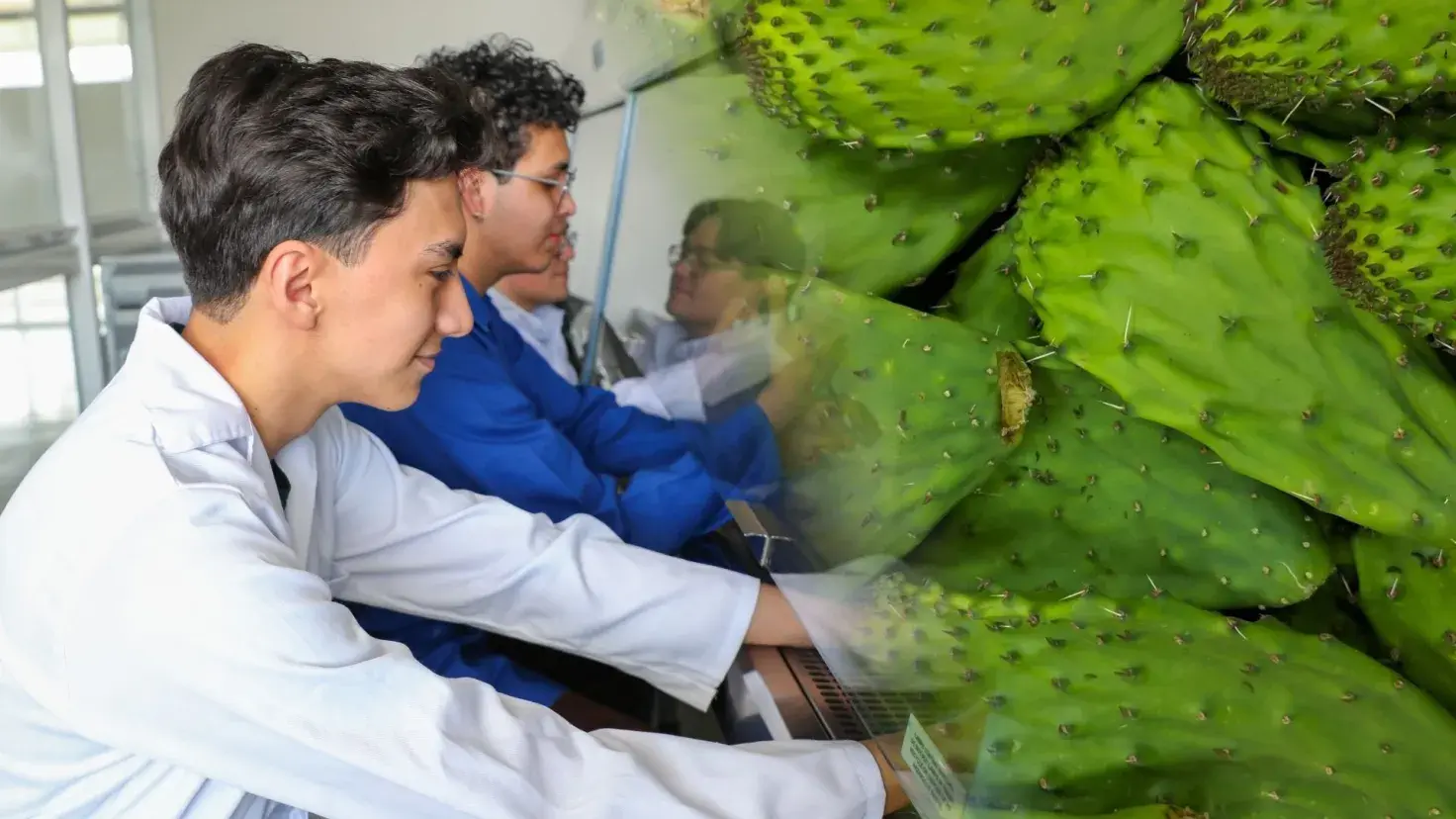 Estudiantes del Tec en Estado de México desarrollan bioplástico a base de nopal, una alternativa sustentable a los desechos tradicionales.